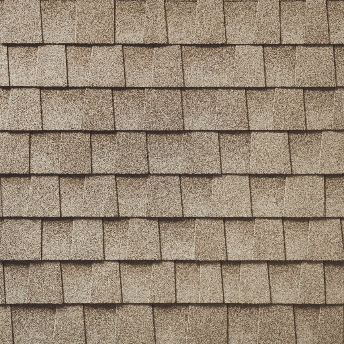 Northern Pacific Roofing Images