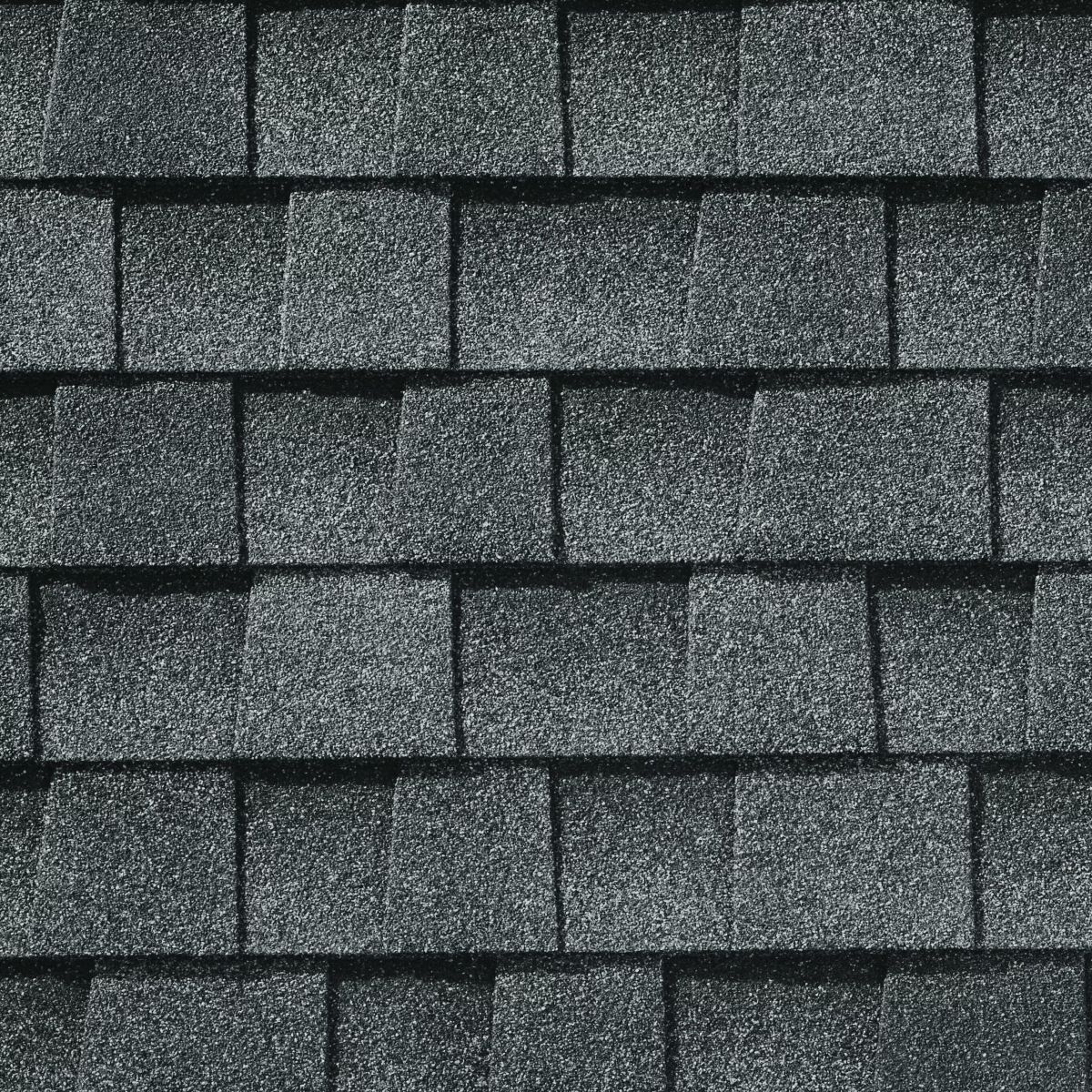 Northern Pacific Roofing Images