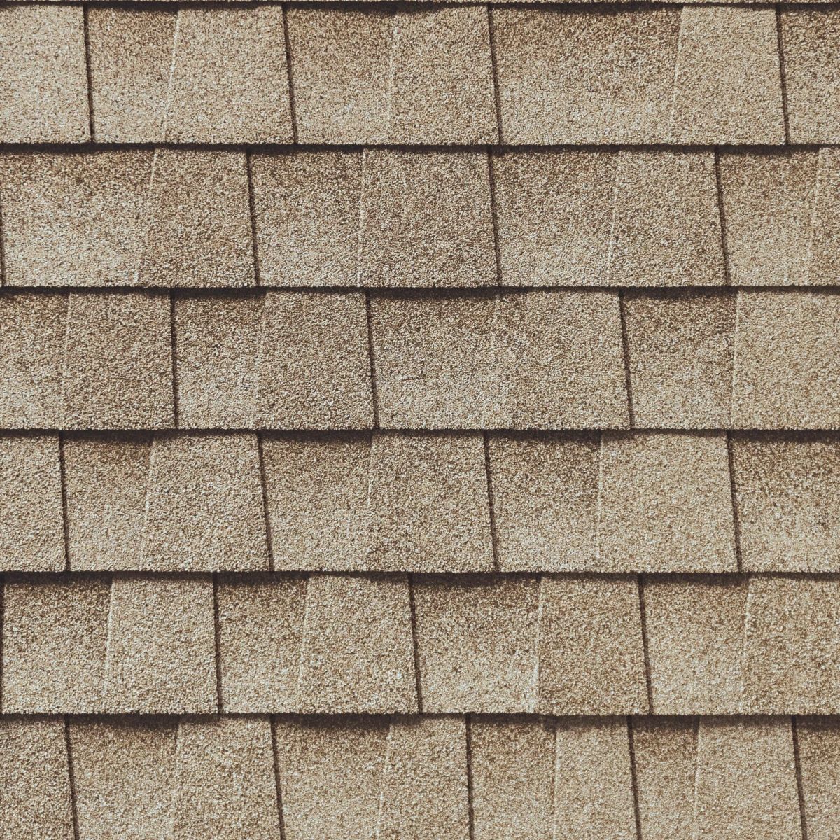 Northern Pacific Roofing Images