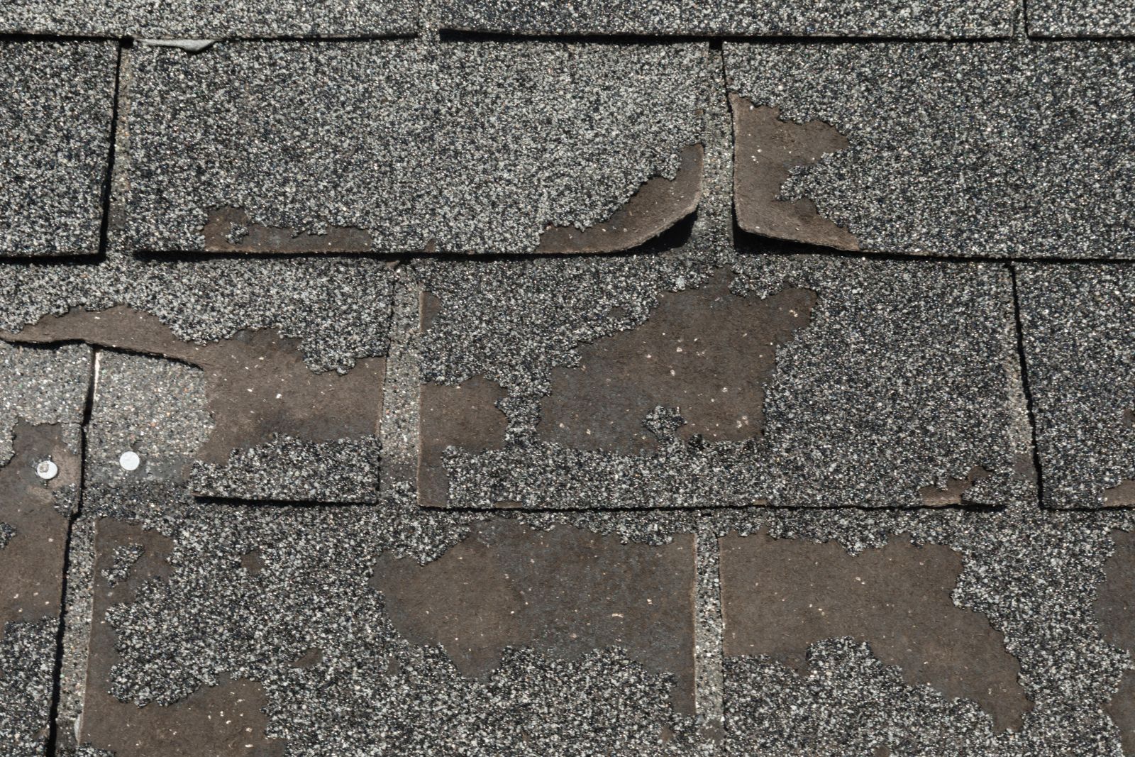 Northern Pacific Roofing Images